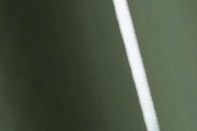 Avery Dennison® PrismaPro™ Dry-Apply Color Paint Protection Film Gloss Olive Green (PrismaPro-732-O)