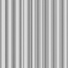 3M™ FASARA™ Glass Finishes Stripe Arpa Crystal, SH2APCR